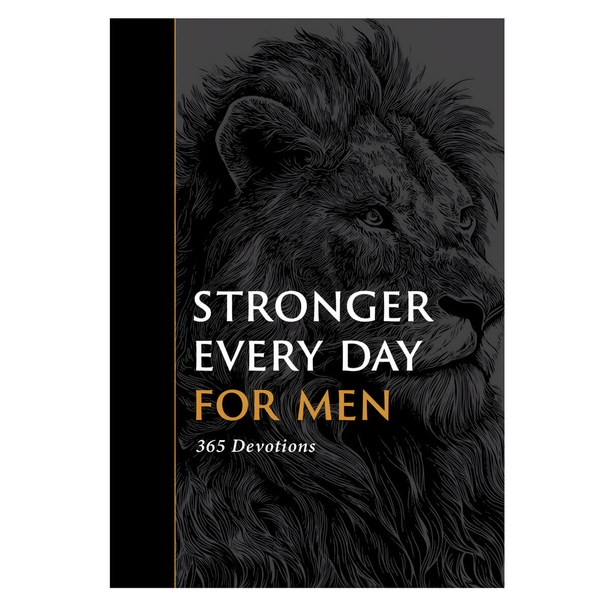 Stronger Every Day for Men: 365 Devotions (Paperback)